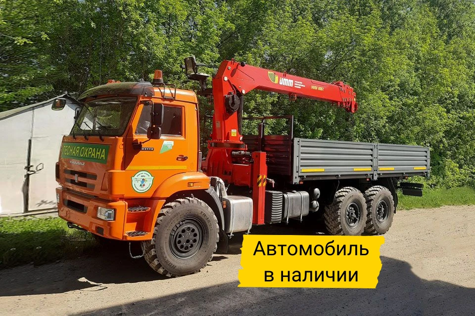 Автомобиль КамАЗ 43118 бортовой с КМУ УММаш 806Т
